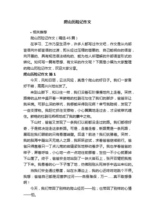 爬山历险记作文