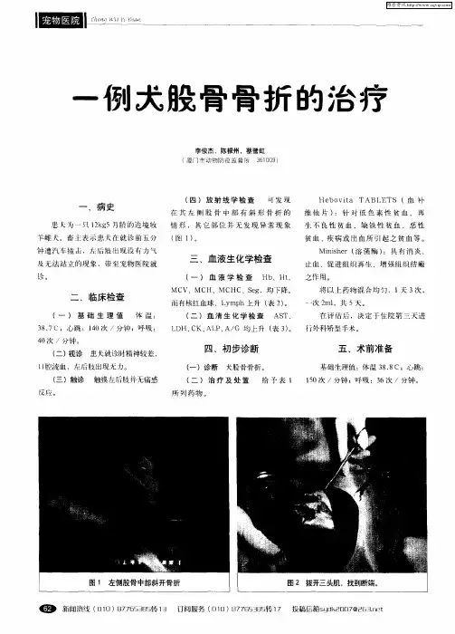一例犬股骨骨折的治疗