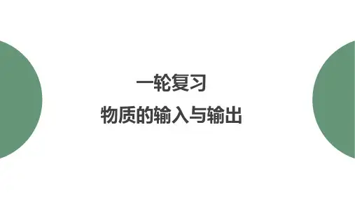 2025届高三生物学一轮复习：物质的输入与输出 课件