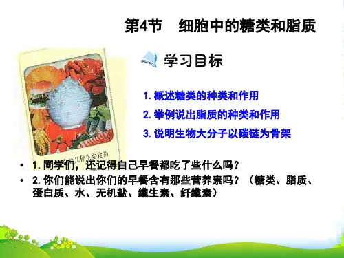 人教版高中生物必修1 第2章第4节细胞中的糖类和脂质(课件)(共25张PPT)