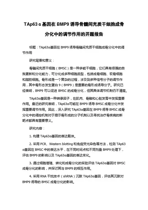 TAp63α基因在BMP9诱导骨髓间充质干细胞成骨分化中的调节作用的开题报告