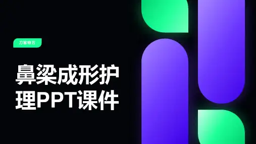 鼻梁成形护理PPT课件