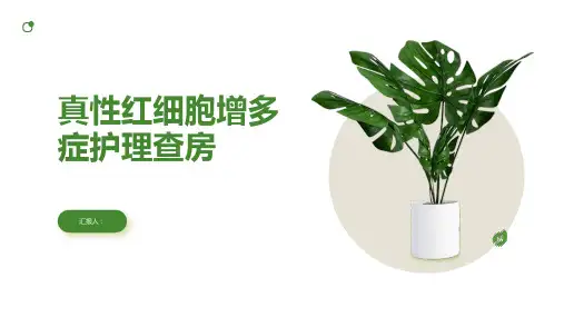 真性红细胞增多症护理查房PPT
