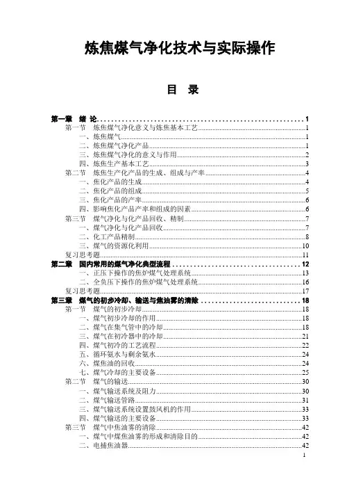 炼焦煤气净化技术与实际操作