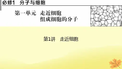 2023版高考生物一轮总复习第1单元走近细胞组成细胞的分子第1讲走近细胞课件