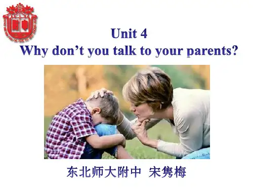Why don’t you talk to your parents-课件ppt