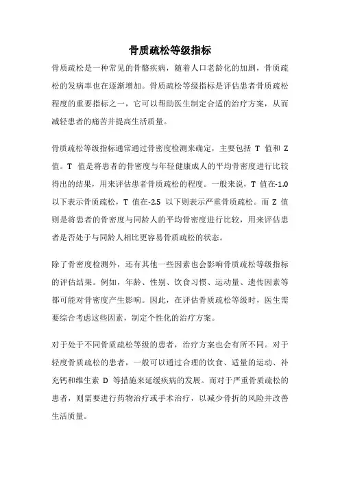 骨质疏松等级指标