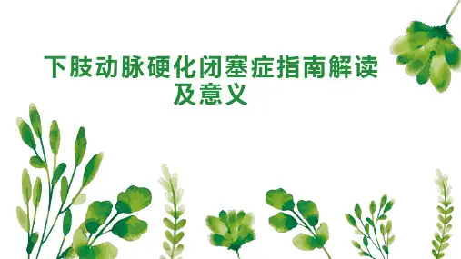 下肢动脉硬化闭塞症指南解读及意义
