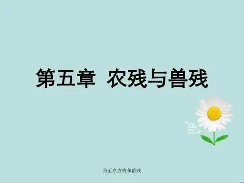 第五章农残和兽残