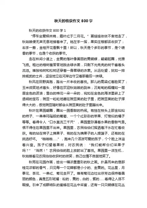 秋天的收获作文800字