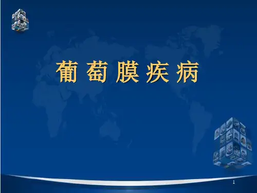 葡萄膜疾病PPT演示课件