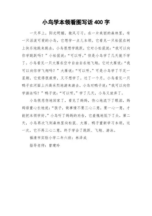 小鸟学本领看图写话400字_作文