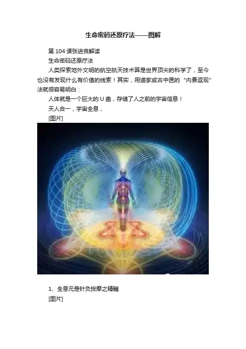 生命密码还原疗法——图解