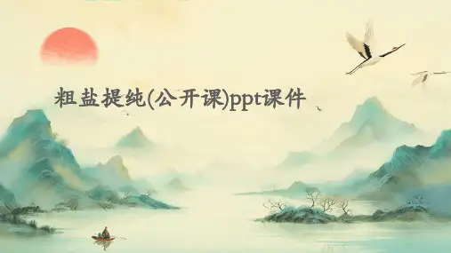 粗盐提纯(公开课)PPT课件
