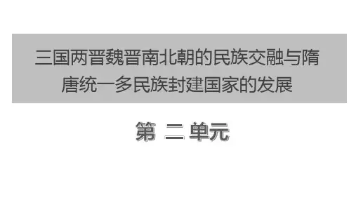 第5讲 三国两晋南北朝的政权更迭与民族交融-高考历史一轮复习课件(中外历史纲要上)
