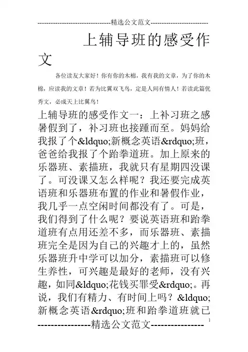 上辅导班的感受作文