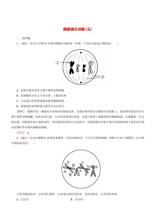 通用版2018届高考生物二轮复习专题二细胞的生命历程跟踪强化训练5细胞的增殖与遗传的细胞基础(含答案)