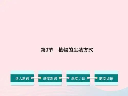 八年级生物上册第19章第3节植物的生殖方式课件(新版)北师大版