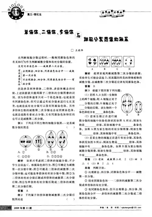 单倍体、二倍体、多倍体与细胞分裂图像的联系