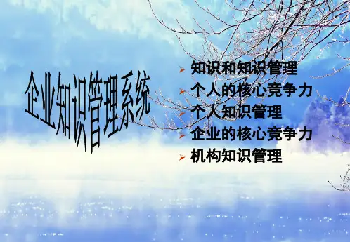 企业知识管理系统PPT精品课件