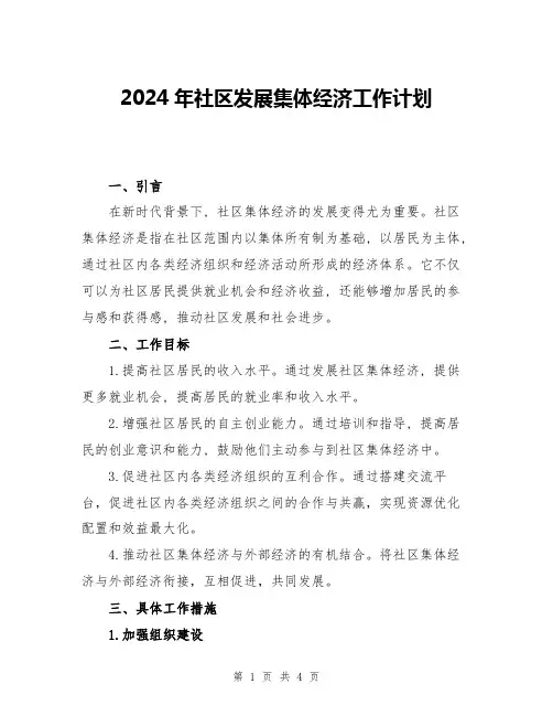 2024年社区发展集体经济工作计划