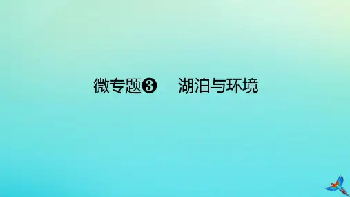 2023新教材高考地理二轮专题复习微专题3湖泊与环境课件