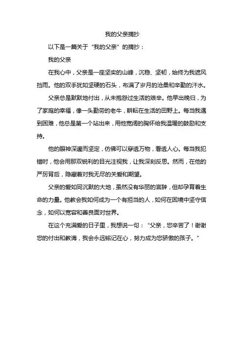 我的父亲摘抄