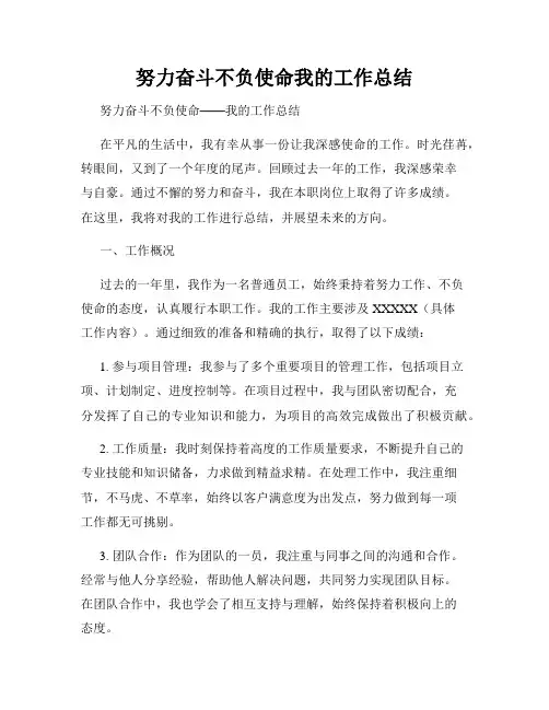 努力奋斗不负使命我的工作总结