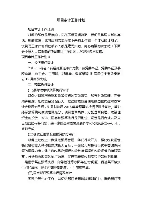 项目审计工作计划