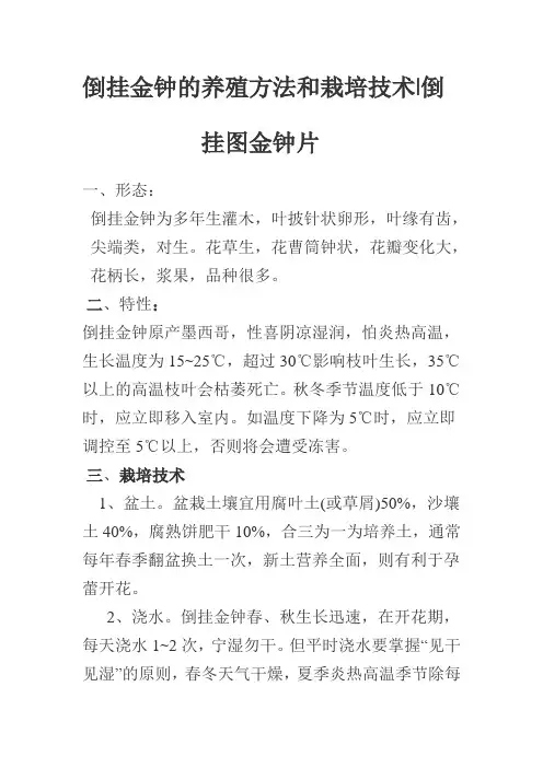 倒挂金钟的养殖方法和栽培技术
