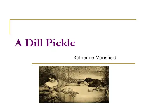 A Dill Pickle莳萝泡菜