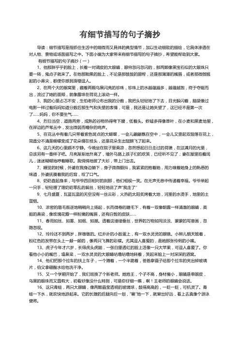 有细节描写的句子摘抄
