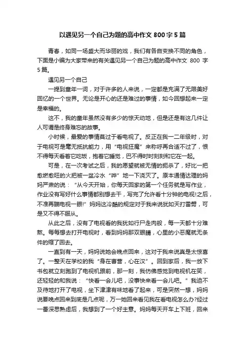 以遇见另一个自己为题的高中作文800字5篇