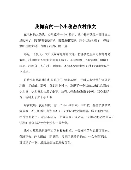 我拥有的一个小秘密农村作文
