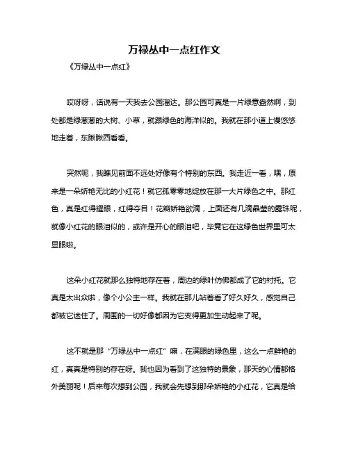 万禄丛中一点红作文