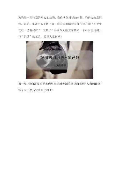 有人狗翻译器对话吗