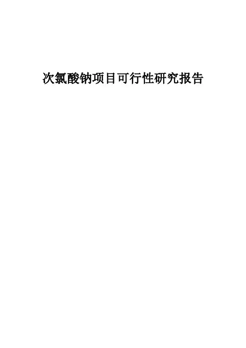 2024年次氯酸钠项目可行性研究报告