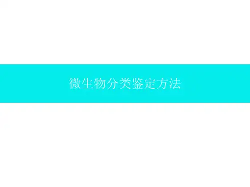 微生物分类鉴定方法知识讲解