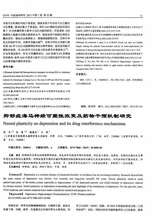 抑郁症海马神经可塑性改变及药物干预机制研究