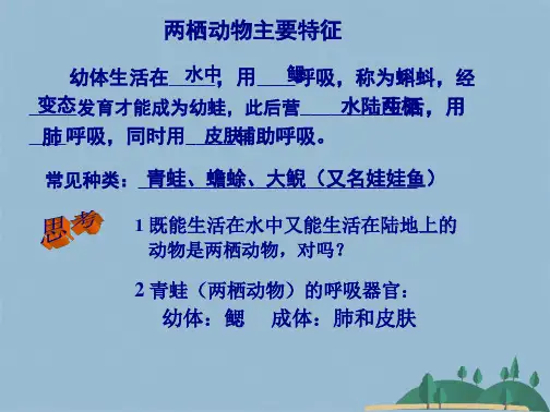 第一节  动物的运动(共29张PPT)
