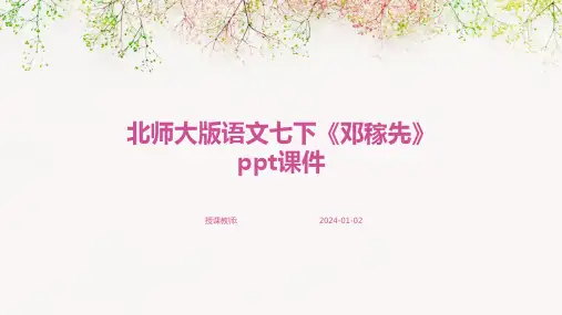 北师大版语文七下《邓稼先》ppt课件