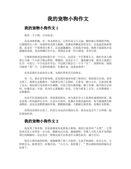 我的宠物小狗作文
