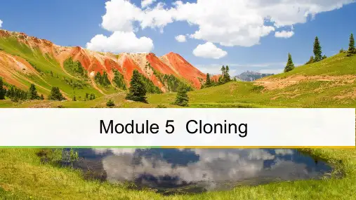 高中英语选修6外研版课件：Module5+Period+Two