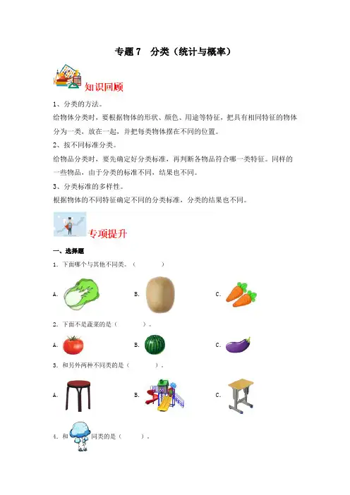 2024学年一年级上册数学寒假专题7  分类(统计与概率)专项提升(北师大版)