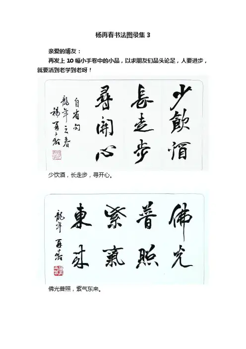 杨再春书法图录集3