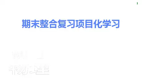 期末整合复习 项目化学习课件2024-2025学年物理人教版九年级全一册
