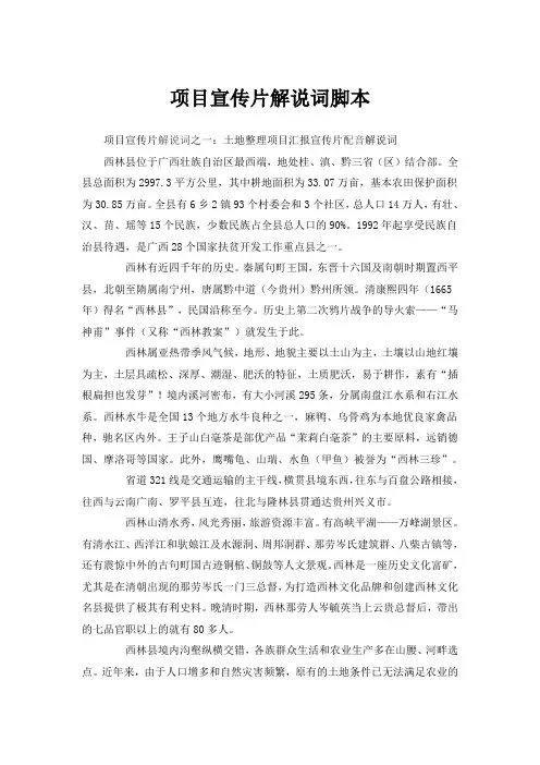 项目宣传片解说词脚本