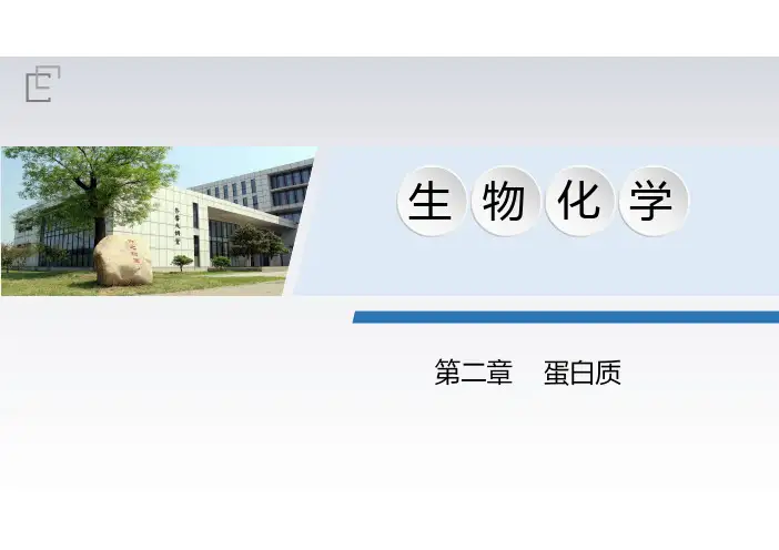 生物化学第二章蛋白质知识点归纳