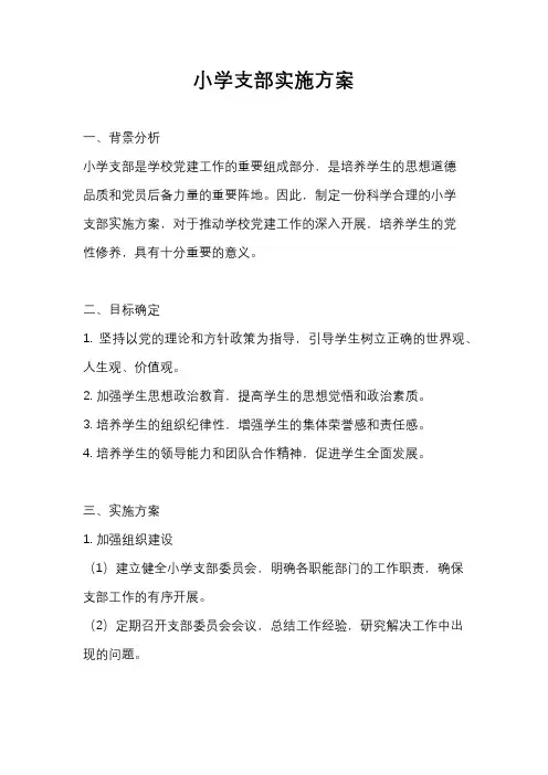 小学支部实施方案