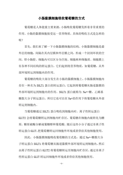 小肠黏膜细胞吸收葡萄糖的方式